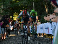 Matteo Zurlo of Italy and Zalf Euromobil Fior in front of Jonas Rapp of Germany and Team Hrinkow Advarics Cycleang at the Muro della Tisa, a...