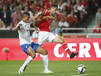 Benfica's forward Jonas (R) vies for the ball with Estoril's defender Diego Carlos  (L)  during the Portuguese League football match between...
