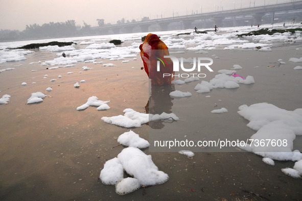 A Hindu devotee performs rituals as she stands amidst the polluted waters of the river Yamuna covered with a layer of foam, on the occasion...