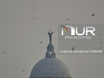 Birds fly past a statue of Queen Victoria in Kolkata, India, 24 November, 2021.  (