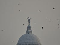 Birds fly past a statue of Queen Victoria in Kolkata, India, 24 November, 2021.  (
