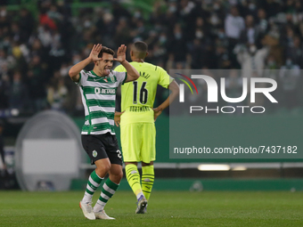 Pedro Gonçalves midfielder of Sporting CP celebrates after scoring a goal during the UEFA Champions League Group C match between Sporting CP...
