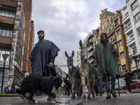 Two young ranchers accompanied by two donkeys and a dog during the demonstration against the government in one of the main streets of Oviedo...