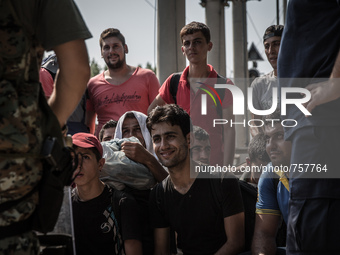 Migrants wait to cross the border between Macedonia and Greece near the Macedonian town of Gevgelija, on August 26, 2015.
The EU is grapplin...