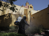 A worker sanitises the courtyard of the Parish of Santiago Apostle Tepalcatlalpan in Xochimilco, Mexico City, following the increase in COVI...