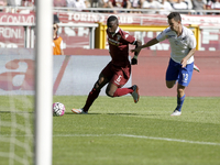 afriyie acquah pedro pereira  and during the seria A match  between torino fc and uc sampdoria at the olympic stadium of turin  on septeber...