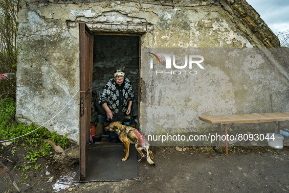 A woman cares a wounded dog asking for entering to a shelter during a russian shelling on Luch, a village close to the frontline in the Myko...