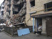 Homeless dog stays near the Residential building destroyed during Russia's invasion of Ukraine in Hostomel, Ukraine April 22, 2022. (