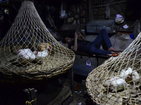 A chicken whole seller browse a mobile phone in a chicken wholesale market in Kolkata, India, 04 May, 2022. The market price of a chicken in...