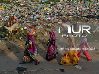 Indian women passes by a highly polluted road with plastic bags and other garbage is next to river Ganges, in Allahabad,on October 2,2015.Th...