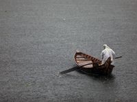 A boatman crosses the river Buriganga by boat during rain in Dhaka, Bangladesh on May 12, 2022. (