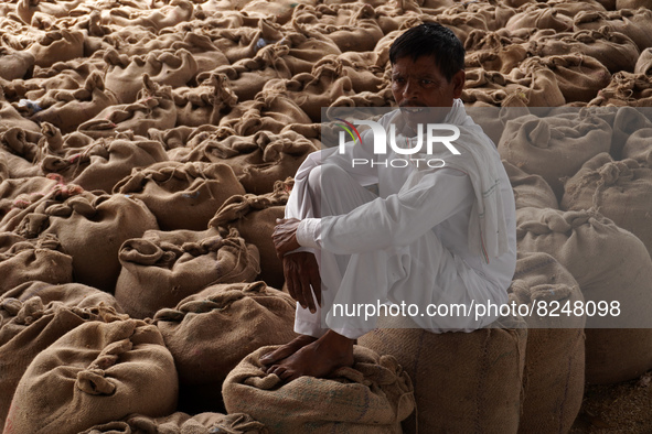 A farmer sits over stacked sacks of wheat at a wholesale grain market near Sonipat, on the outskirts of New Delhi, India on May 17, 2022. In...