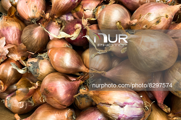 Onions are seen in a supermarket in Krakow, Poland on May 24, 2022. 