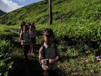 Students walking to school through the tea plantations in Tugu Utara Village, Regency Bogor, West Java province, Indonesia on 2 June, 2022....