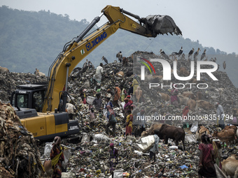 Municipality workers working with excavator as rag pickers searches for recyclable materials next to cows and birds at a garbage dumpsite, o...