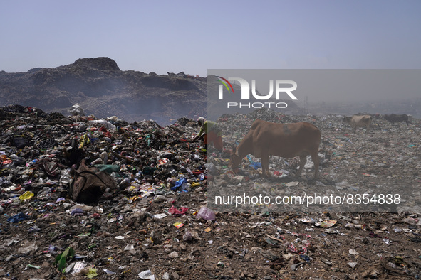 A ragpicker looks for recyclable materials as smoke billows from burning garbage mound at the Bhalswa landfill site on World Environment Day...