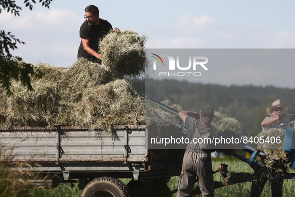 People collect hay in Krzywaczka, Poland on June 15, 2022. 