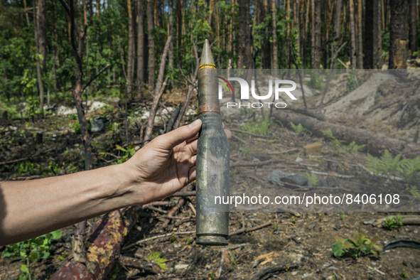 High cliber ammunition found in the forests of Buda Babynetska, near Kyiv, where the russian army were based during the occupation of Bucha...