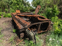 A destroyed Russian BMP3 tank is seen between the villages of Temyrivs'ka andn Zelene Pole, Ukraine, on june 22, 2022.(