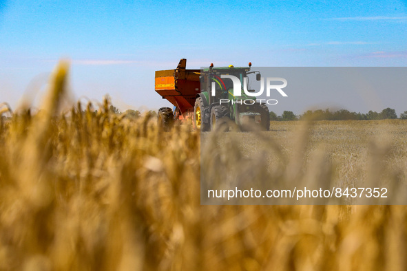 ODESA REGION, UKRAINE - JUNE 22, 2022 - A tractor is seen in a field during the harvesting of grain crops in Odesa Region, southern Ukraine....