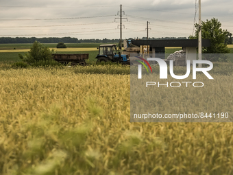 The tractor drives past a checkpoint near the wheat field in Kyiv region, Ukraine. June 23, 2022 (