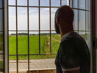 Luca Rizzotti looks at the rice fields from the window of the rice mill's sales office. Rice needs a lot of water for its life cycle and the...