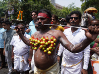 A Hindu devotee with his body pierced with needles attached to lemons takes part in a religious procession to mark the 'Muthu Mariamman' fes...