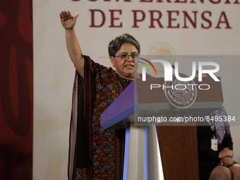 The head of the Tax Administration Service, Raquel Buenrostro speaks during the  Mexican President  Lopez Obrador  daily morning media confe...