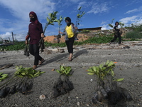 Residents plant mangrove tree seedlings on the Palu Bay Coast in Palu, Central Sulawesi Province, Indonesia, Saturday (6/7/2022). The planti...