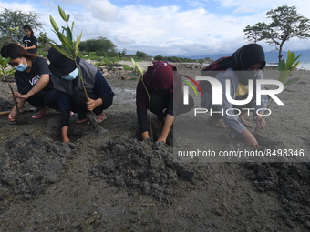 Residents plant mangrove tree seedlings on the Palu Bay Coast in Palu, Central Sulawesi Province, Indonesia, Saturday (6/7/2022). The planti...