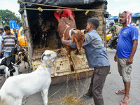 Sellers are seen unloading livestock's for sale at a temporary market ahead of Eid-Ul-Adha in Kolkata , India , on 7 July 2022 . (