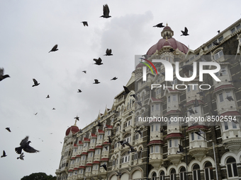 Pigeons fly near an iconic Taj hotel in Mumbai, India, 07 July, 2022.  (