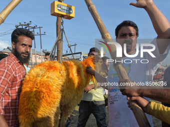 People weigh a sheep at a sacrificial livestock market ahead of Eid ul Adha in Srinagar, Indian Administered Kashmir on 08 July 2022.  (
