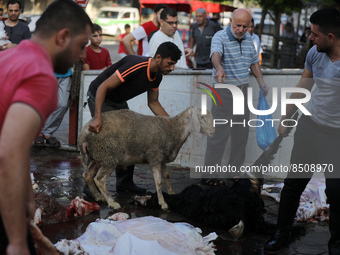 (EDITOR'S NOTE: Graphic content) Palestinians gather as Sheep is slaughtered during Eid el-Adha festival, in Gaza City on July 9, 2022. - Kn...