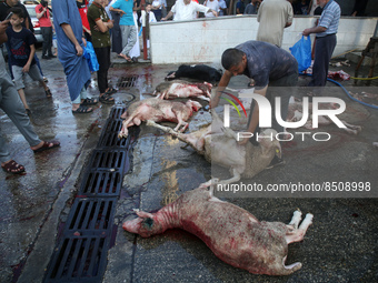 (EDITOR'S NOTE: Graphic content) Palestinians gather as Sheep is slaughtered during Eid el-Adha festival, in Gaza City on July 9, 2022. - Kn...