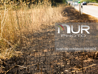 a wheat field is seen aftermath of burning during the harvest season in Troisdorf, Germany on July 20, 2022 as Heatwave and fire are damaged...
