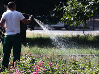 A man waters plants in the city during the heat wave in Krakow, Poland on July 21, 2022. (