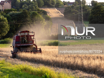 Combine-harvester is seen working on a grain field during the harvest season in Zielonki, near Krakow as heatwave moves to central and easte...