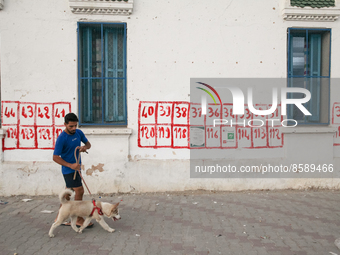 A young man with his dog, walks past an almost empty wall without election posters for Tunisian constitutional referendum, in Ariana, Tunis...