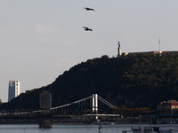 View of the Gellert Hill and bridges on the Danube River in Budapest, Hungary on July 28, 2022. (