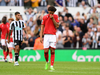 Brennan Johnson of Nottingham Forest looking dejected after The Magpies scored a goal to make it 2-0 during the Premier League match between...
