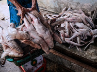 A worker prepared cuts the shark fins at the fish market on August 30, 2022 in Bangka Belitung, Indonesia. Local fishermen hunt for sharks f...