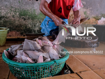 A worker cuts the shark fins at the fish market on August 30, 2022 in Bangka Belitung, Indonesia. Local fishermen hunt for sharks for consum...