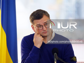 Minister of Foreign Affairs of Ukraine Dmytro Kuleba attends a joint media briefing with Minister of Foreign Affairs of Ireland Simon Covene...