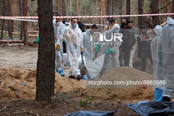 IZIUM, UKRAINE - SEPTEMBER 19, 2022 - Experts carry a body bag with the remains of one of the bodies of Izium residents killed by Russian oc...