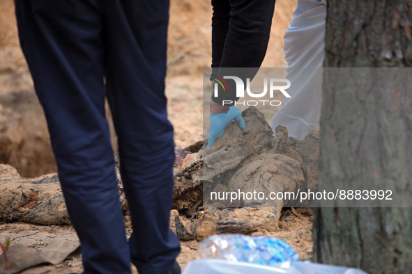 IZIUM, UKRAINE - SEPTEMBER 19, 2022 - An expert exhumes one of the bodies of Izium residents killed by Russian occupiers at a mass burial si...