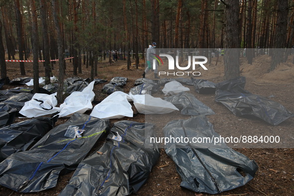 IZIUM, UKRAINE - SEPTEMBER 19, 2022 - Human remains pouches with the bodies of Izium residents killed by Russian occupiers are arranged on t...