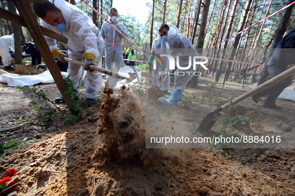 IZIUM, UKRAINE - SEPTEMBER 19, 2022 - The exhumation of the bodies of Izium residents killed by Russian occupiers is underway at a mass buri...