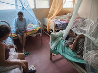 Nicaragua is being hit by the dengue virus and chikungunya on November 7, 2015. Despite drought, low rainfall have brought a virus outbreak,...