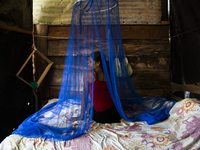 Nicaragua is being hit by the dengue virus and chikungunya on November 7, 2015. Despite drought, low rainfall have brought a virus outbreak,...